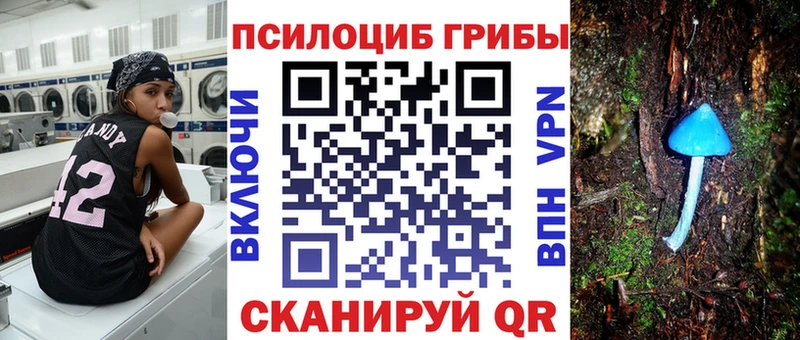 Псилоцибиновые грибы MAGIC MUSHROOMS  Светогорск 